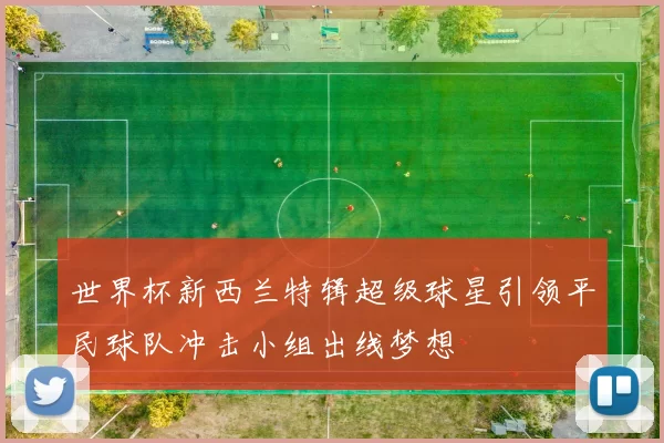 世界杯新西兰特辑超级球星引领平民球队冲击小组出线梦想