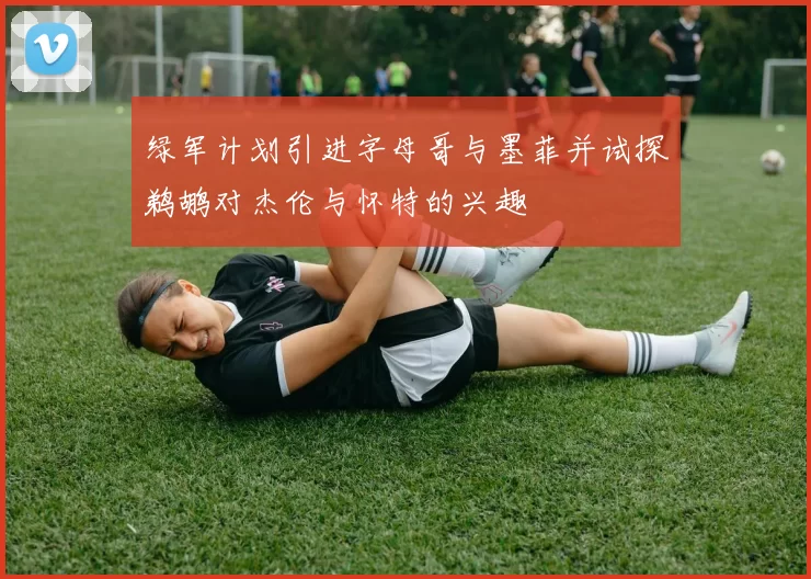 绿军计划引进字母哥与墨菲并试探鹈鹕对杰伦与怀特的兴趣